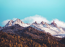 开云在线——开启无限可能的数字生活新体验